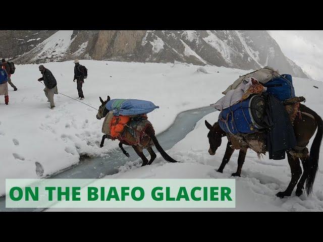 On the Biafo Glacier - Karakoram Mountains - Pakistan