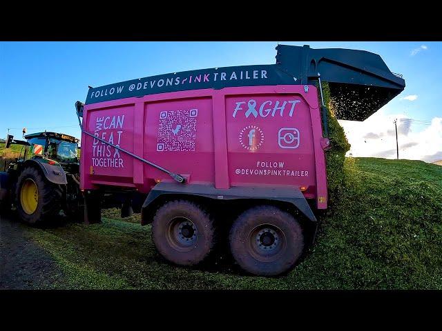 Devon's Pink Trailer & Claas 990 Chopping Maize!