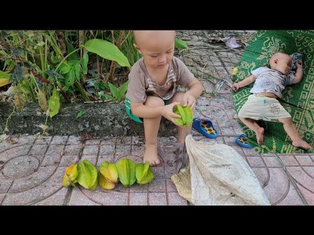 The boy went to get fruit and brought it to the market to buy milk for his younger brother