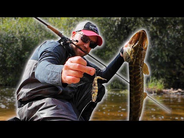 Big fish strikes under my feet! Handing hard lures tested