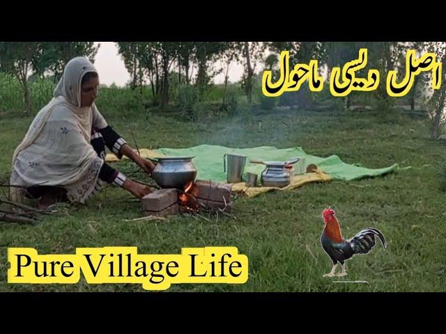 Pakistan Village Life | Beautiful Village Life | Family Village Life .