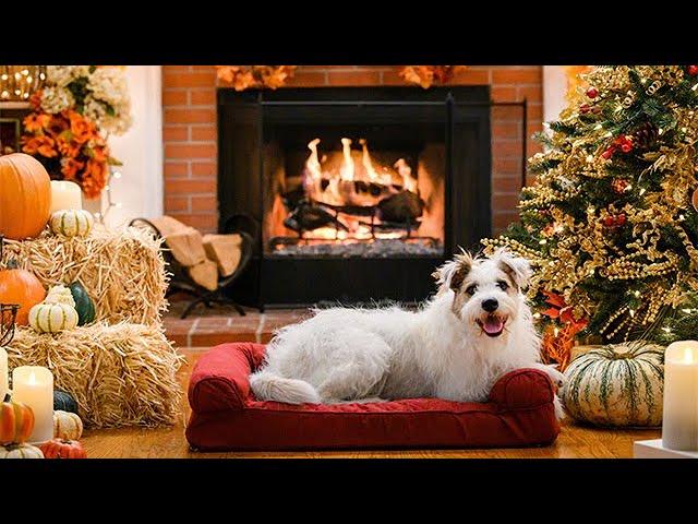 A Happy & Friends Yule Log - Hallmark Movies & Mysteries