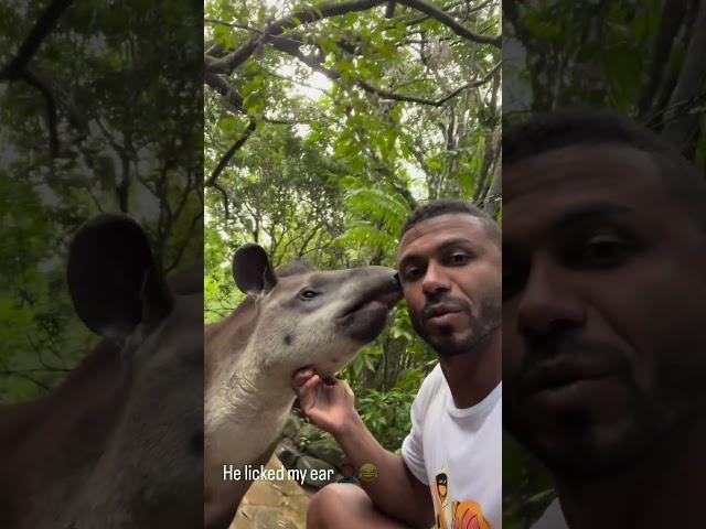 He licked my ear... #licked #1mviews #animalshorts #shorts #viralvideos #subscribe #viralvideos #yt