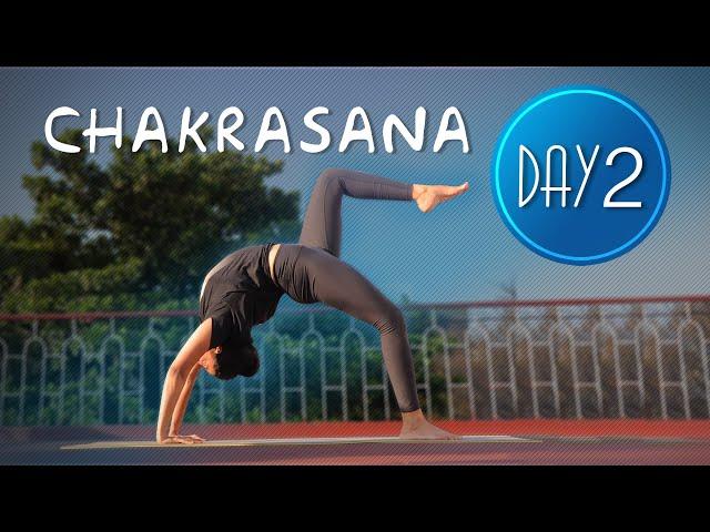 Day 2 of 7 days Chakrasana Practice | Yoga For Beginners