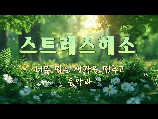너무 많은 생각을 멈추고 음악과 함께 불안과 스트레스를 날려버리세요 힐링음악, 치유명상음악, 아침음악, 수면에도 사용 가능