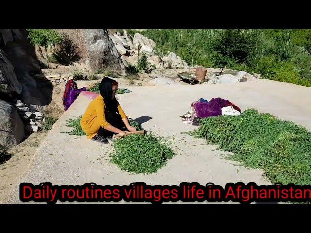 Afghanistan village life #jaghori village life#rural life