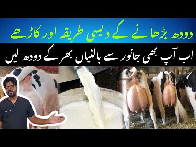 Recipes to increase milk II Milk barhanay kay tareeqay II Dr. Muzzammil Hassan