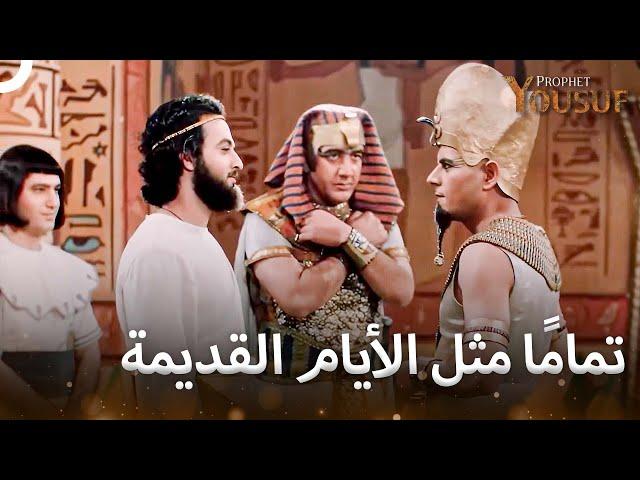 وعاد يوسف إلى مصر | النبي يوسف
