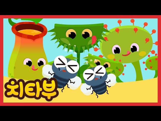 [ENG sub] 🪰우리는 벌레 사냥꾼 | 식충식물송(The Monster plants Song) | 파리지옥 | 인기동요 | 신나는 동요 | #치타부