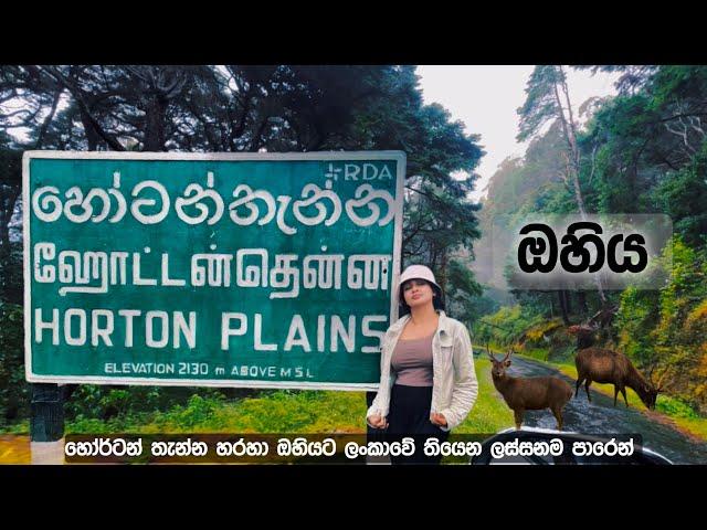 Exploring Ohiya & Horton Plains | A Scenic Journey From Nuwara Eliya | Horton Plains , SriLanka