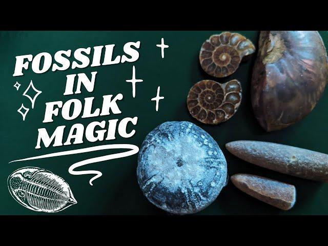 Fossils in English Folk Magic