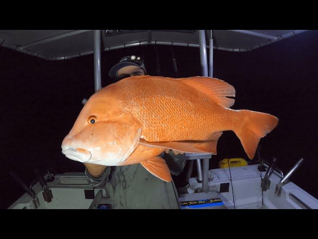 GAINT Red Emperor fishing. Camping Overnight eating what we catch!!