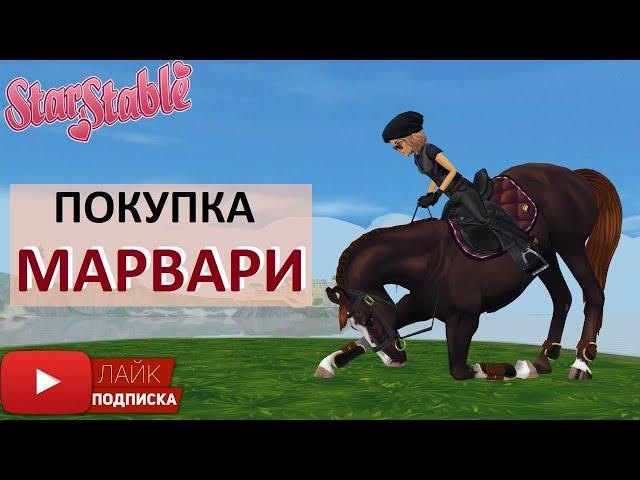 Покупка Марвари в Star Stable Online | Marwari