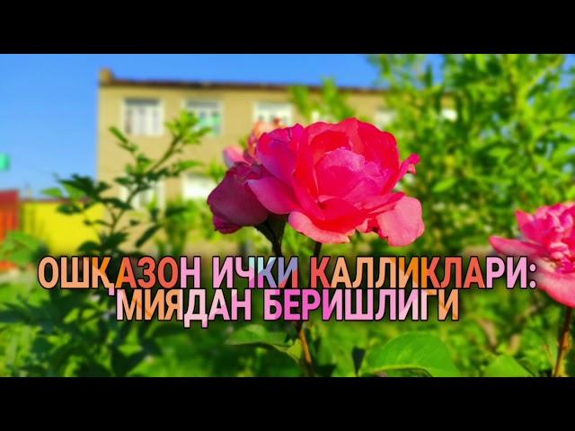 Ошқозон ичак касалликлари: Миядан бериши.