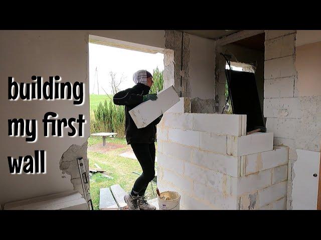 I Am Building a Shower Wall in Kitchen !?!?? | Martinas Life