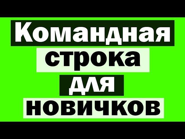 Команды в cmd для новичков