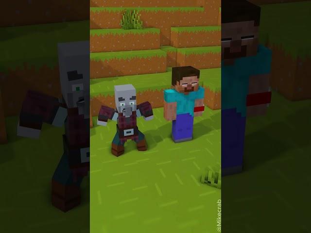 Pillager Encounters Herobrine on the Villager map⌚|  Transform Watch