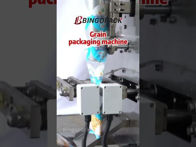 Grain packaging machine | Granule packaging machine | Food grains packing machine