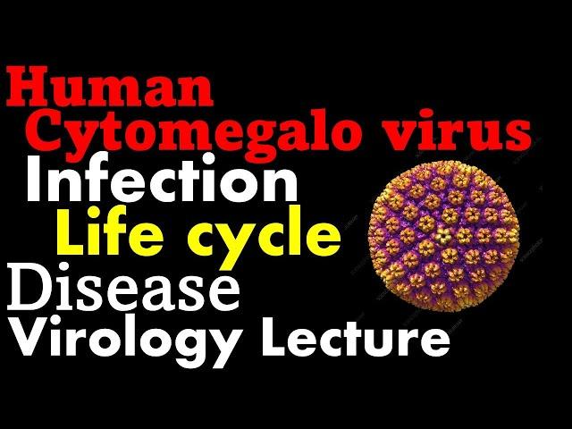 Cytomegalovirus (cmv)