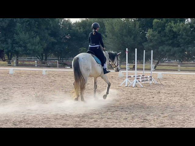 My first time falling off a horse | attempting to canter