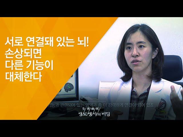 서로 연결돼 있는 뇌! 손상되면 다른 기능이 대체한다 - (2016.11.16_600회 방송)_뇌의 기적 - 제 1편 회복