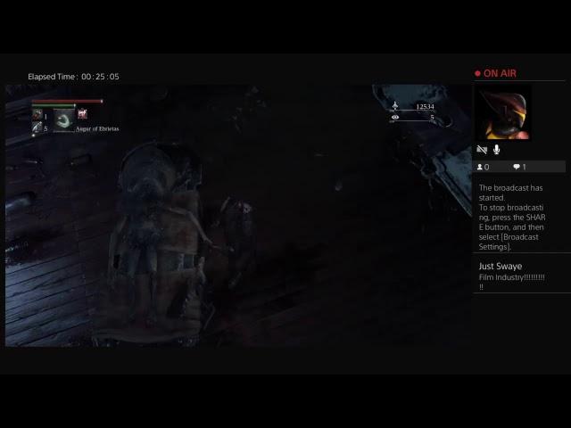 Nzp1138's livestream of Bloodborne