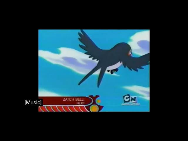 Pokemon toonami cartoon network