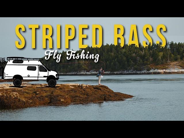 BREAKING TIDES | A Vanlife Quest for East Coast Stripers (DIY Fly Fishing)