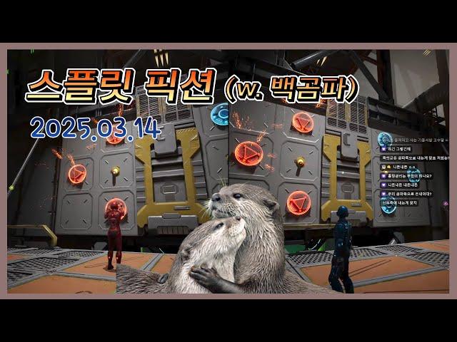 [2025.03.14] 스플릿 픽션 (w. 백곰파) - 고수달 다시보기