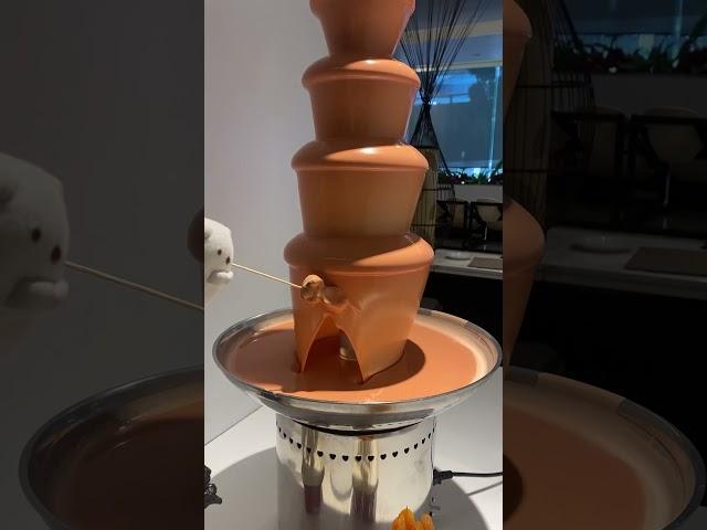 Shiro indulge in the chocolate fountain ️