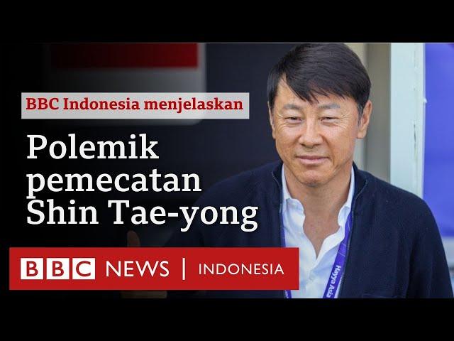 Ini alasan PSSI memecat pelatih Timnas, Shin Tae-yong. Siapa penggantinya? - BBC News Indonesia