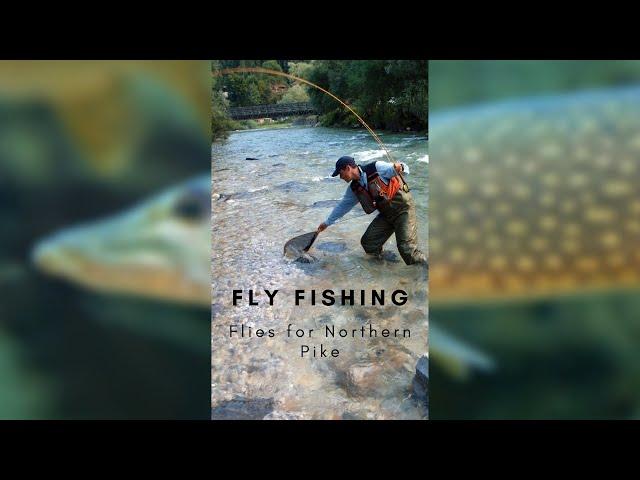 Northern Pike Flies you need for Fly Fishing 