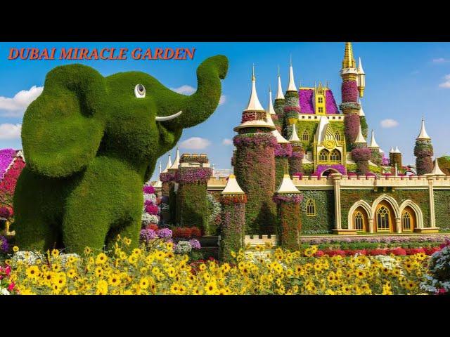 Dubai Miracle Garden Is UNREAL! Let's Walk Through This Floral Paradise | Most Beautiful Garden