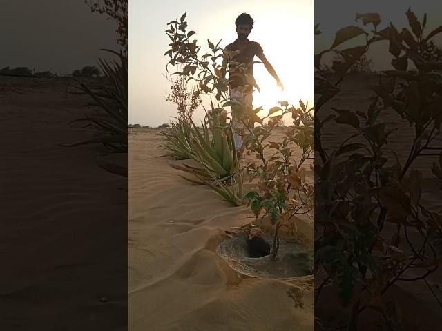 #farming lifestyle #krishankant #music #punjabi song