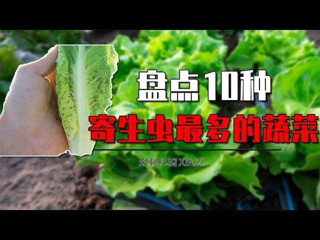 盘点10种寄生虫最多的蔬菜，花菜里寄生虫扎堆，生菜里居然也有？