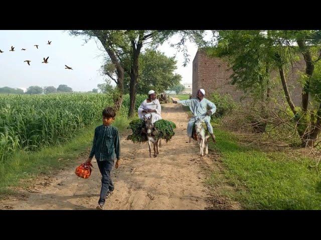 Most Beautiful Village Life in Punjab Pakistan||Rural Life in Punjab Village