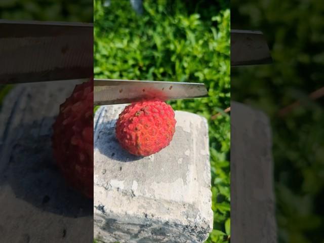 Lichi Magic in One Cut  | Fruit Lover's Delight | #shorts #fruitlover