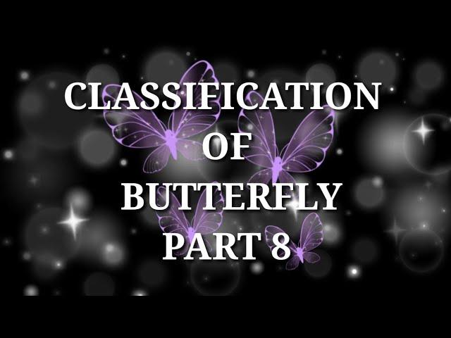 CLASSIFICATION OF BUTTERFLY PART -8 , FAMILY - LYCAENIDAE