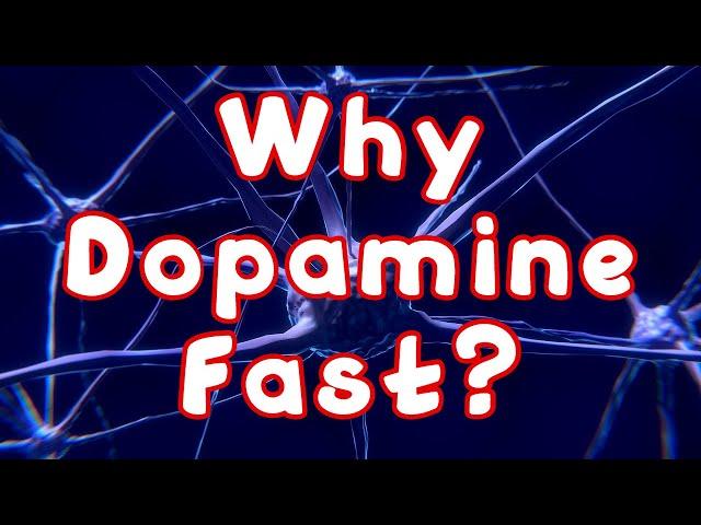 This is Why You Want To Do A Dopamine Fast...