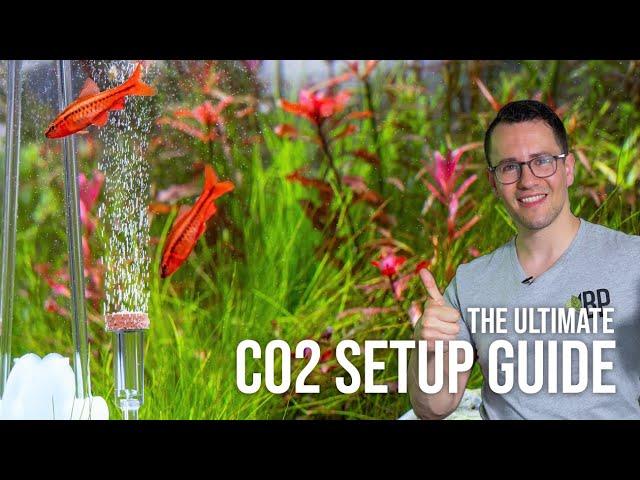 Beginner CO2 Setup Guide for Planted Aquariums | EP10 Planted Tank Overview