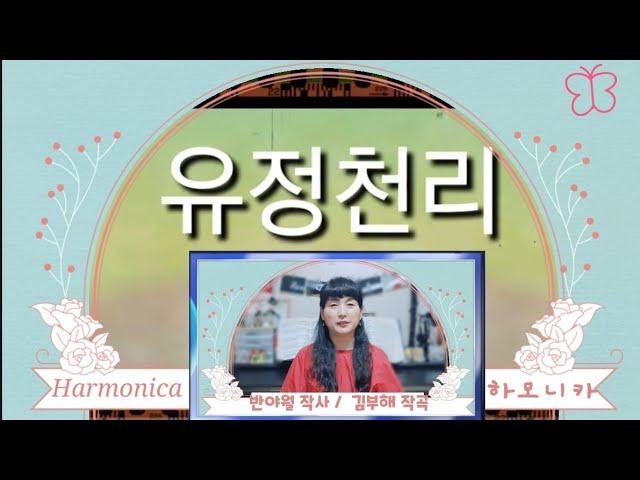 유정천리(하모니카초보자를 위한 맞춤 강의영상) #분홍나비하모니카김경희 #harmonica