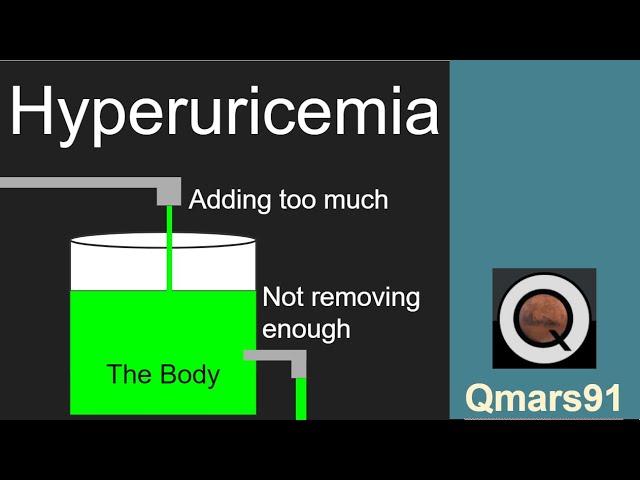 Hyperuricemia (Made Simple)