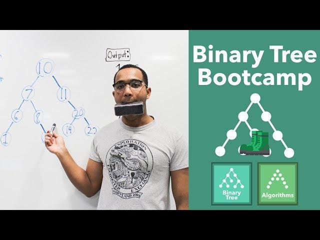 Binary Tree Bootcamp: Full, Complete, & Perfect Trees. Preorder, Inorder, & Postorder Traversal.