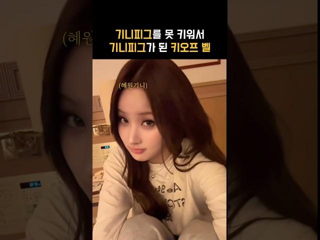 기니피그를 믿기 VS 벨을 믿기