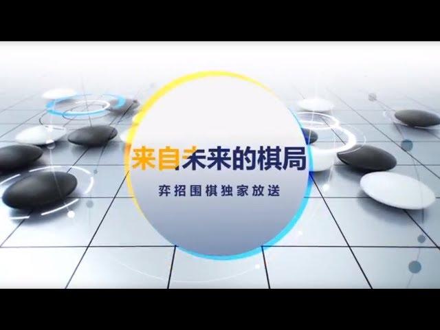 WeiqiTV - AlphaGo vs. AlphaGo review: Fan Hui 2p