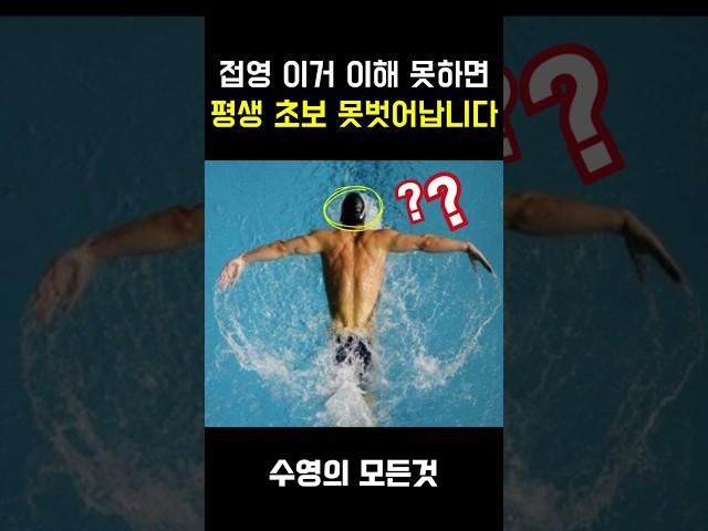접영 이거 이해 못하면 평생 초보 못벗어납니다