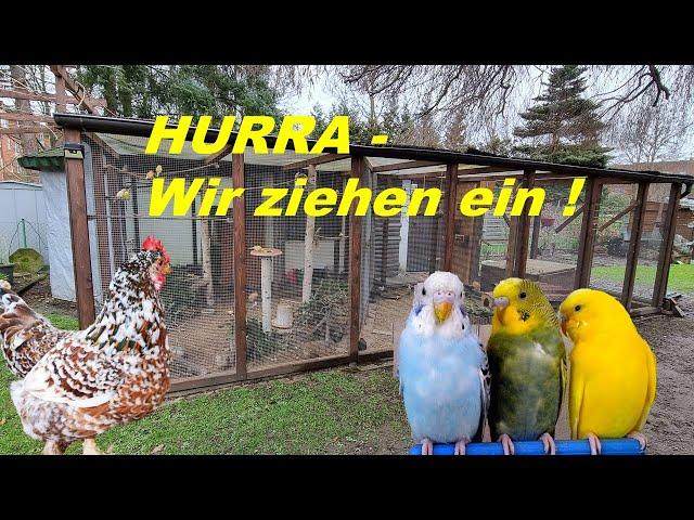 Voliere Vögel & Hühner ziehen ein !