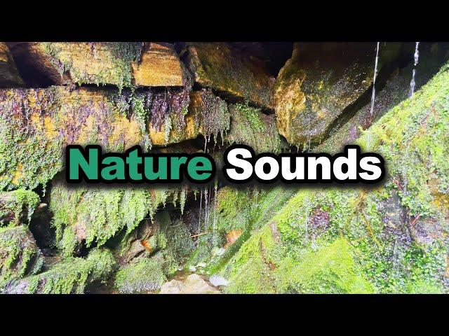 Unwind with Nature: Relaxing Water Splashing Sounds - 1 Hour