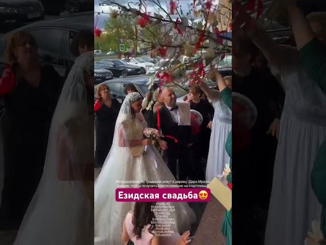 Красивая езидская свадьба в Москве // Dawata ezdia in Moscow