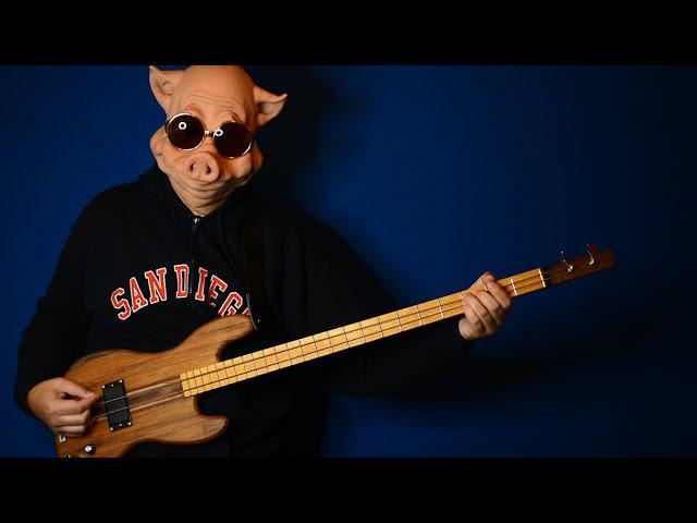 Krappy Guitars Heaviest 2 String BASS SOLO ever - ONLY BASS (Neural DSP Parallax)